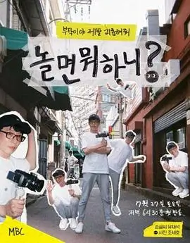今晚只说真话